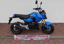 Neumotorrad Honda MSX125 Grom