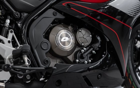 Neufahrzeug QJ Motor SRK 125 R - Bild 13