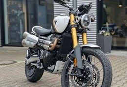 Gebrauchte Triumph Scrambler 1200 XE