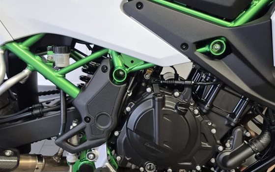Gebrauchtmotorrad Kawasaki KLE500 SE - Bild 8