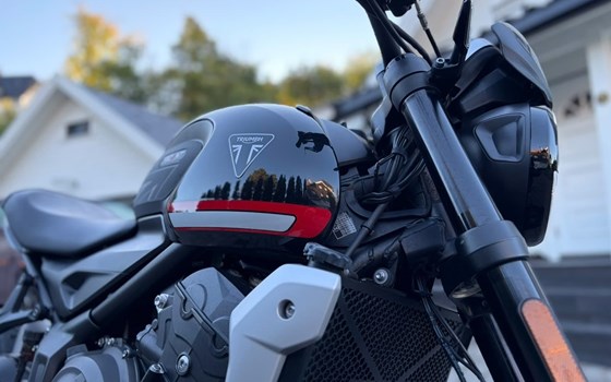 Gebrauchtmotorrad Triumph Trident 660 - Bild 2