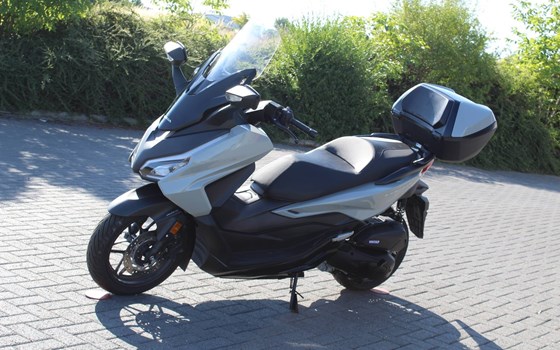 Gebrauchtmotorrad Honda Forza 125 - Bild 19