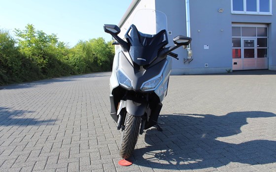Gebrauchtmotorrad Honda Forza 125 - Bild 2