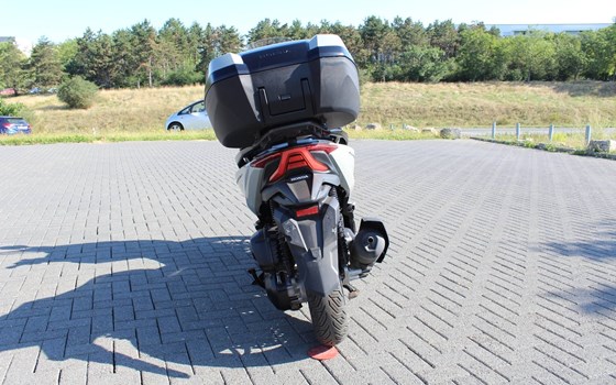 Gebrauchtmotorrad Honda Forza 125 - Bild 4