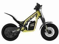 Neumotorrad Triumph TXP-12 