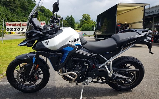 Gebrauchtmotorrad Triumph Tiger 900 Alpine Edition - Bild 2