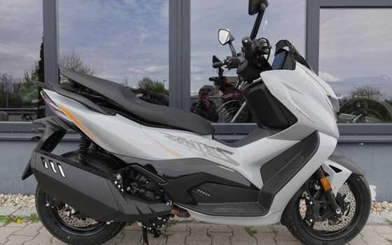 Neufahrzeug Zontes ZT368-D - Bild 1