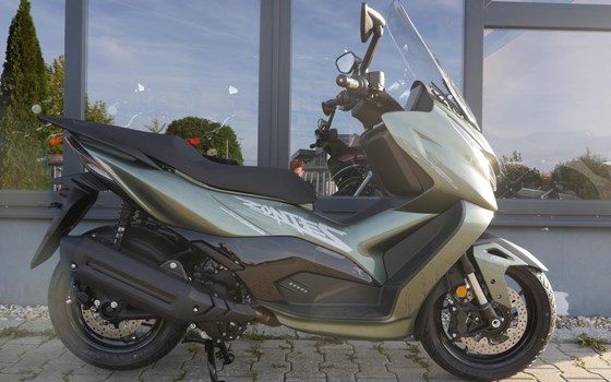Neufahrzeug Zontes ZT368-D - Bild 3