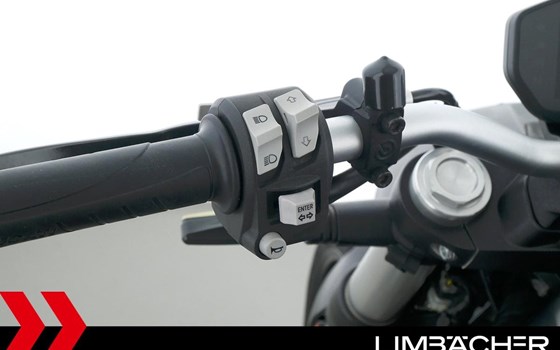 Gebrauchtmotorrad Ducati Monster 821 - Bild 19