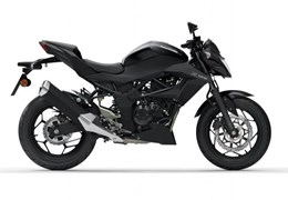 Neumotorrad Kawasaki Z125