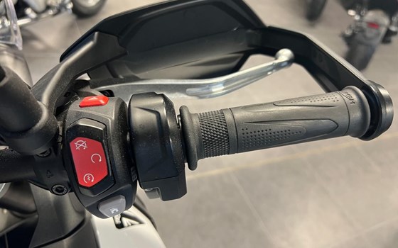 Gebrauchtmotorrad Triumph Tiger 900 Alpine Edition - Bild 18
