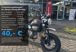 Gebrauchte Honda Monkey 125