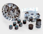 Pol. Variatorset Piaggio 200/250/300