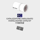 Arrow Katalysator Einsatz