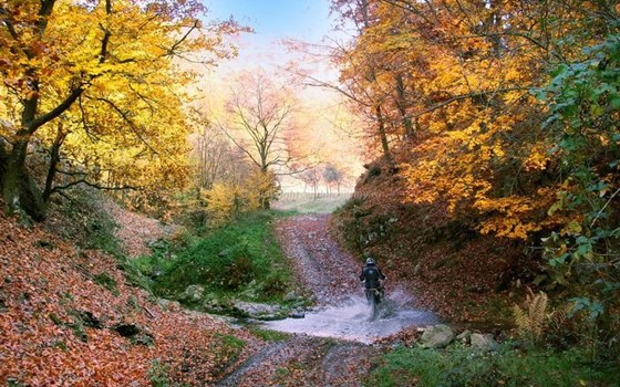 Enduro mit Emy in Rumänien, neben Ungarn - Bild 4