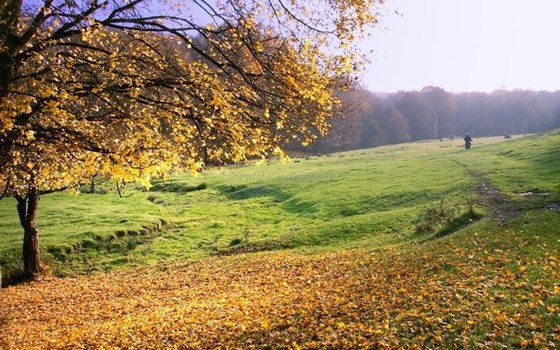 Enduro mit Emy in Rumänien, neben Ungarn - Bild 5