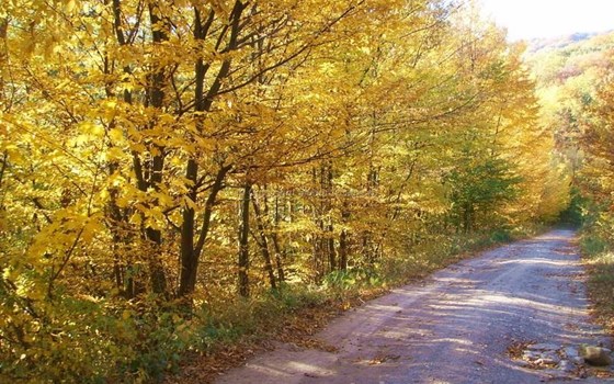 Enduro mit Emy in Rumänien, neben Ungarn - Bild 6