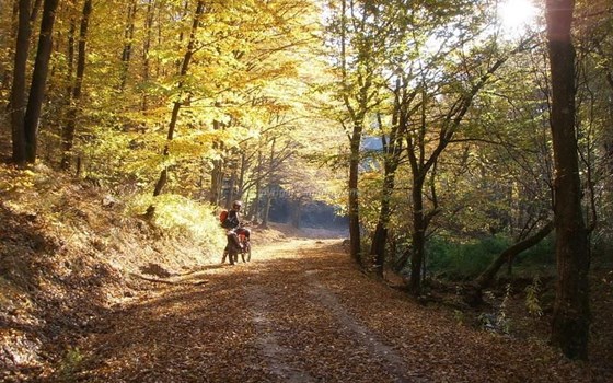 Enduro mit Emy in Rumänien, neben Ungarn - Bild 8