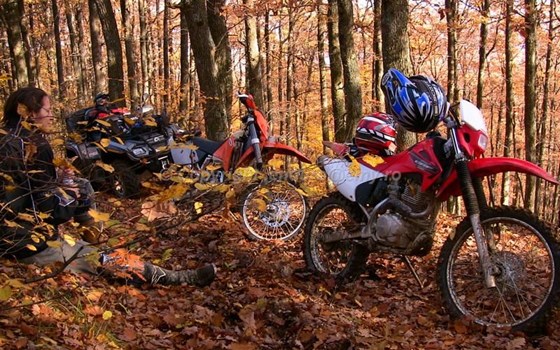 Enduro mit Emy in Rumänien, neben Ungarn - Bild 10