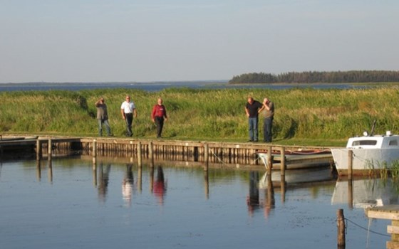 Denmark - Stadil Fjord - Bild 2