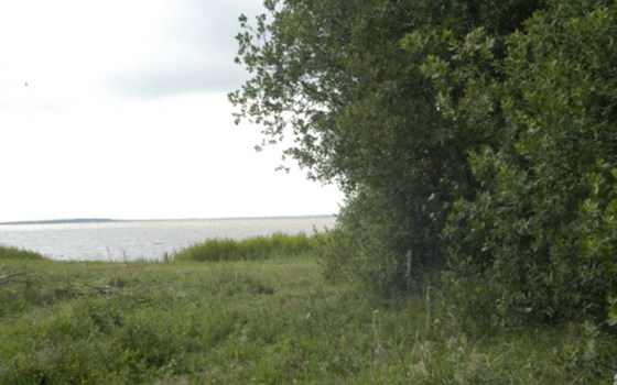 Denmark - Nissum Fjord - Bild 1