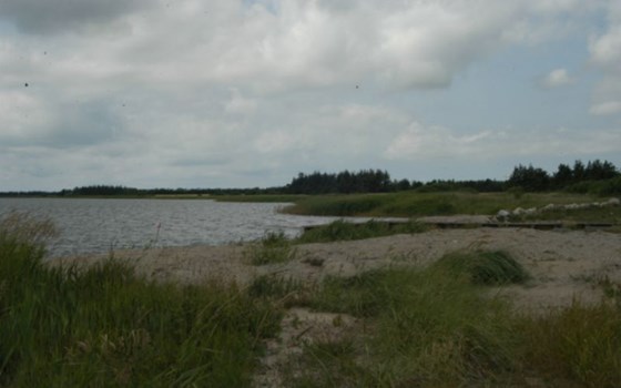 Denmark - Nissum Fjord - Bild 2