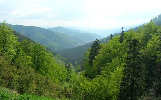 Rohozna, Hohe Tatra bis Zakopane und ret - Bild 4