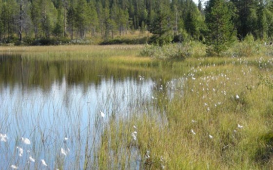 Africa Twin in Schweden - Bild 12