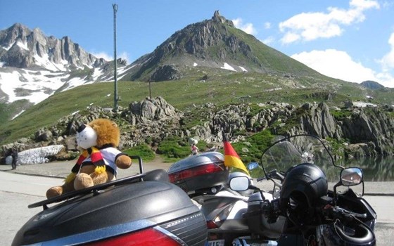 Schweiz - Im Land der Käslochbohrer - Bild 11