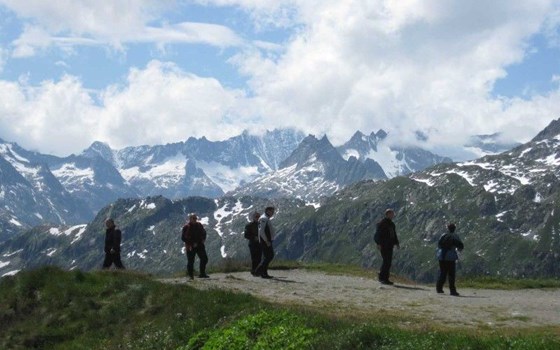 Schweiz - Im Land der Käslochbohrer - Bild 4