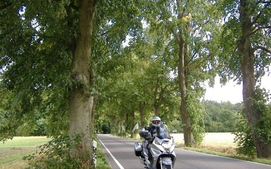 Im Land der Seen und Schlösser - Bild 8