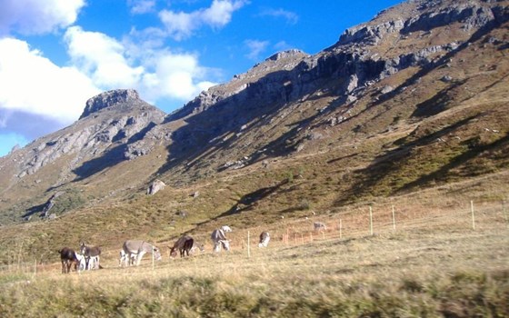 Südtirol und Dolomiten - Bild 12