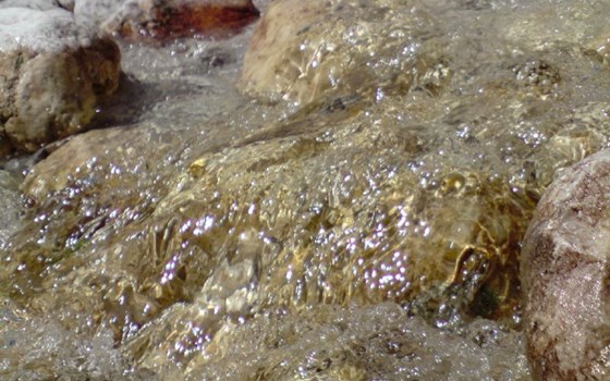 Panoramatour Socatal & Sella Nevea - Bild 4