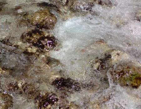 Panoramatour Socatal & Sella Nevea - Bild 5