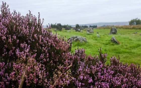 Nordirland - Betriebsausflug 1000PS Tour 1 - Bild 3