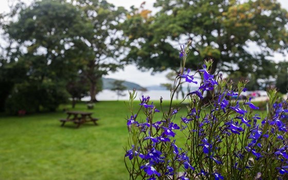 Nordirland - Betriebsausflug 1000PS Tour 2 - Bild 2