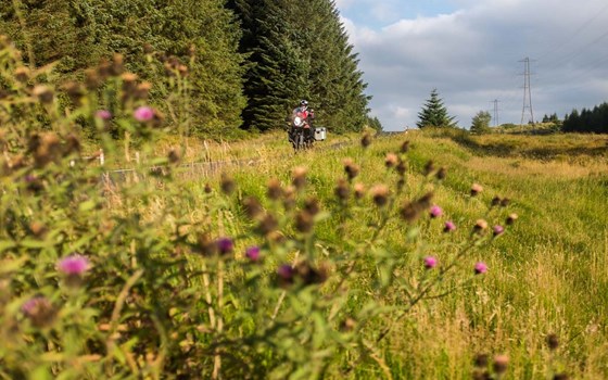 Nordirland - Betriebsausflug 1000PS Tour 2 - Bild 3