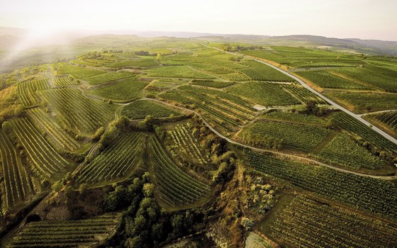Feierabendrunde durchs Kamptal - Bild 1