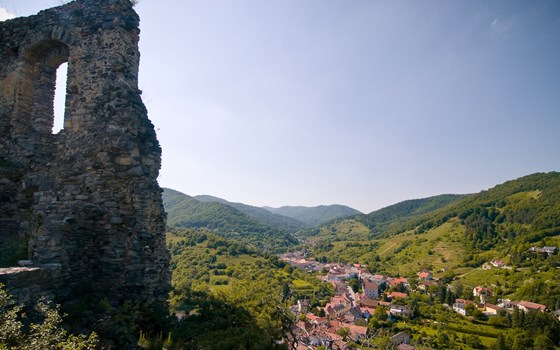 Feierabendrunde durchs Kamptal - Bild 2