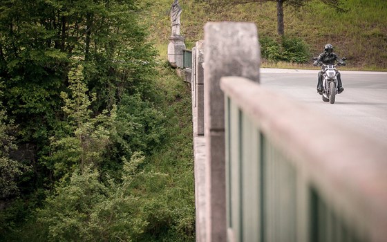 Feierabendrunde durchs Kamptal - Bild 5