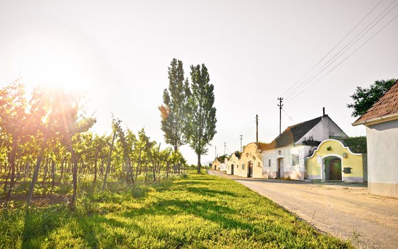 Feierabendrunde durchs Kamptal - Bild 8