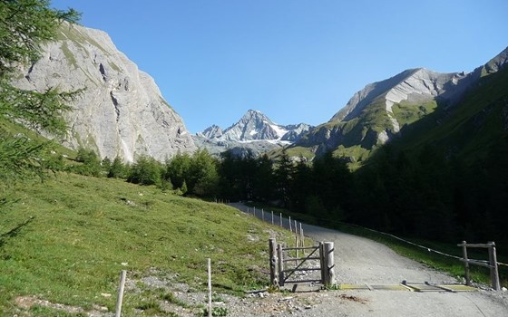 Kärnten Salzburg Hochkönig Kitzbühel Kalser Glocknerstrasse - Bild 2