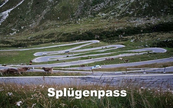 Sersheim - Comer See - Bild 3