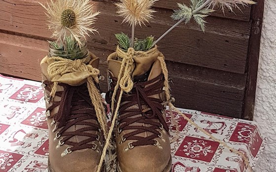 Spittal Drau - Plöcken - Sappada- Passo Campigotto- Mt Zoncolan -Plöcken- Gailtal retour - Bild 6