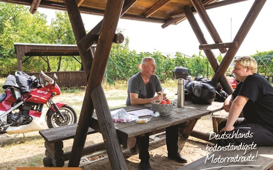 Picknicktour von Mühlberg/Elbe nach Doberlug-Kirchhain - Bild 4