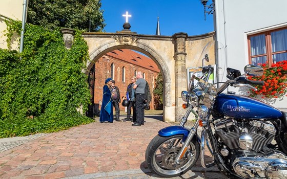 Picknicktour von Mühlberg/Elbe nach Doberlug-Kirchhain - Bild 6