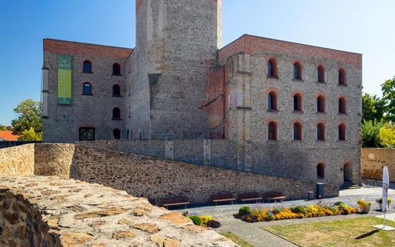 Picknicktour von Mühlberg/Elbe nach Doberlug-Kirchhain - Bild 7