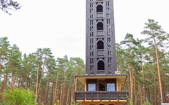Picknicktour von Mühlberg/Elbe nach Doberlug-Kirchhain - Bild 8