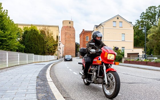 Picknicktour von Mühlberg/Elbe nach Doberlug-Kirchhain - Bild 9