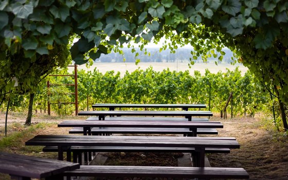 Spezialtour von Moritzburg nach Lübbenau - Bild 11